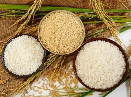 تصویر 5 از قیمت برنج هاشمی استخوانی گیلان با فروش عمده
